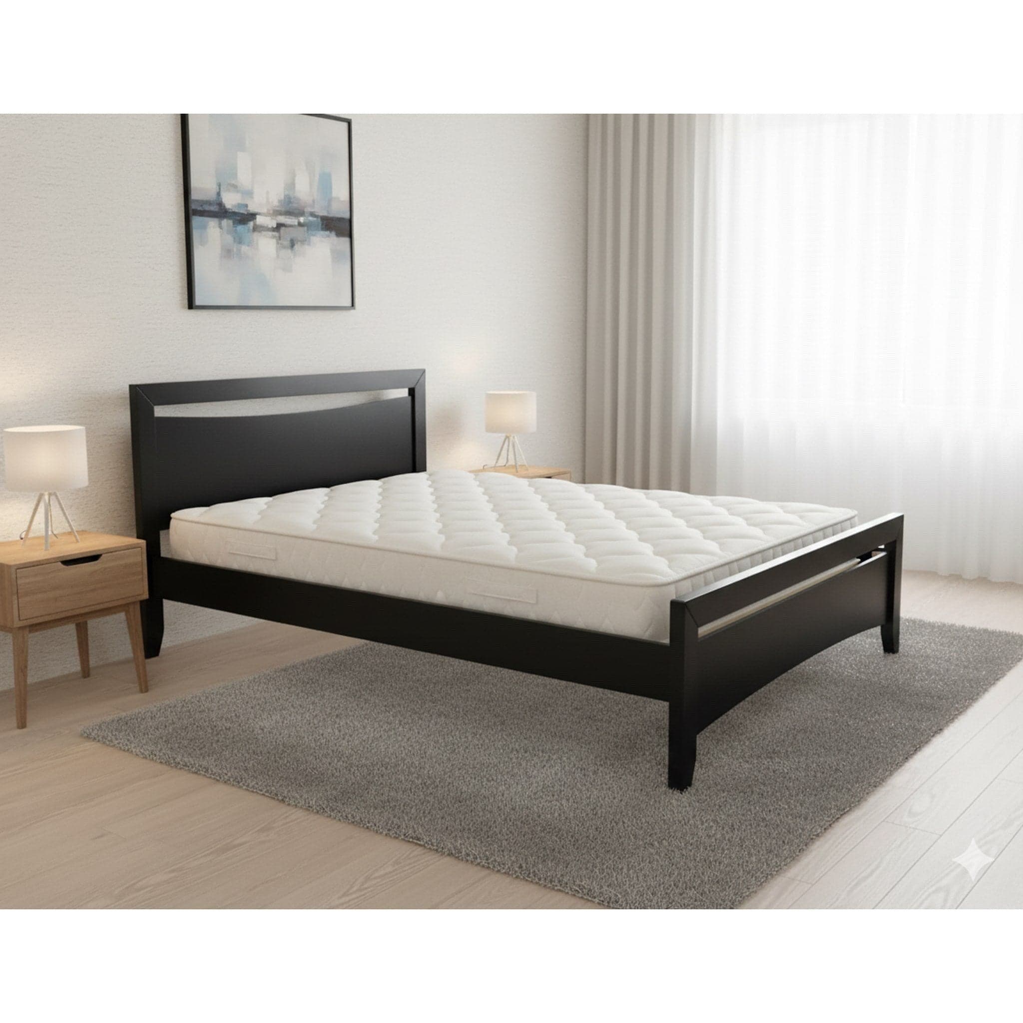 Paiden Queen Bed Frame (Black) + Mattress Bundle alternate view